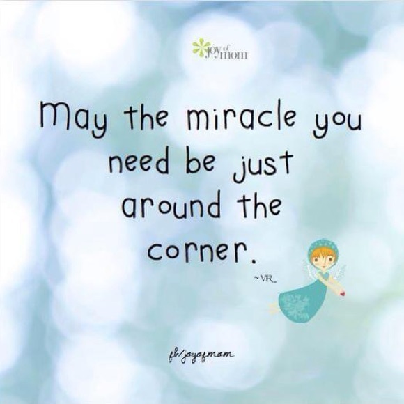 📢Live Sale Notification 🤩🛍️🤩🛍️🤩🛍️🤩🛍️🤩🛍️🤩🛍️ - Picture 5 of 5